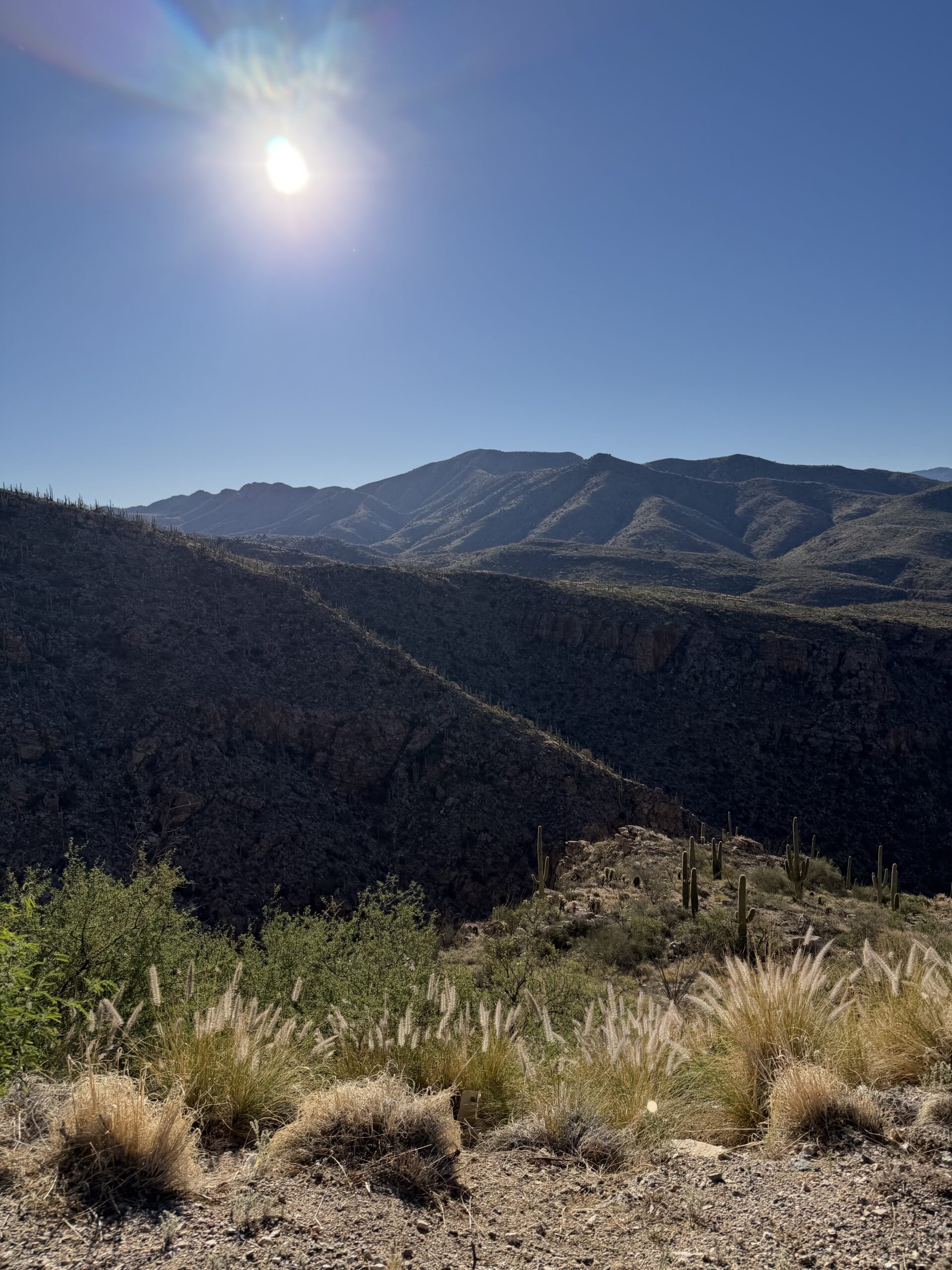 What I got out of training camp