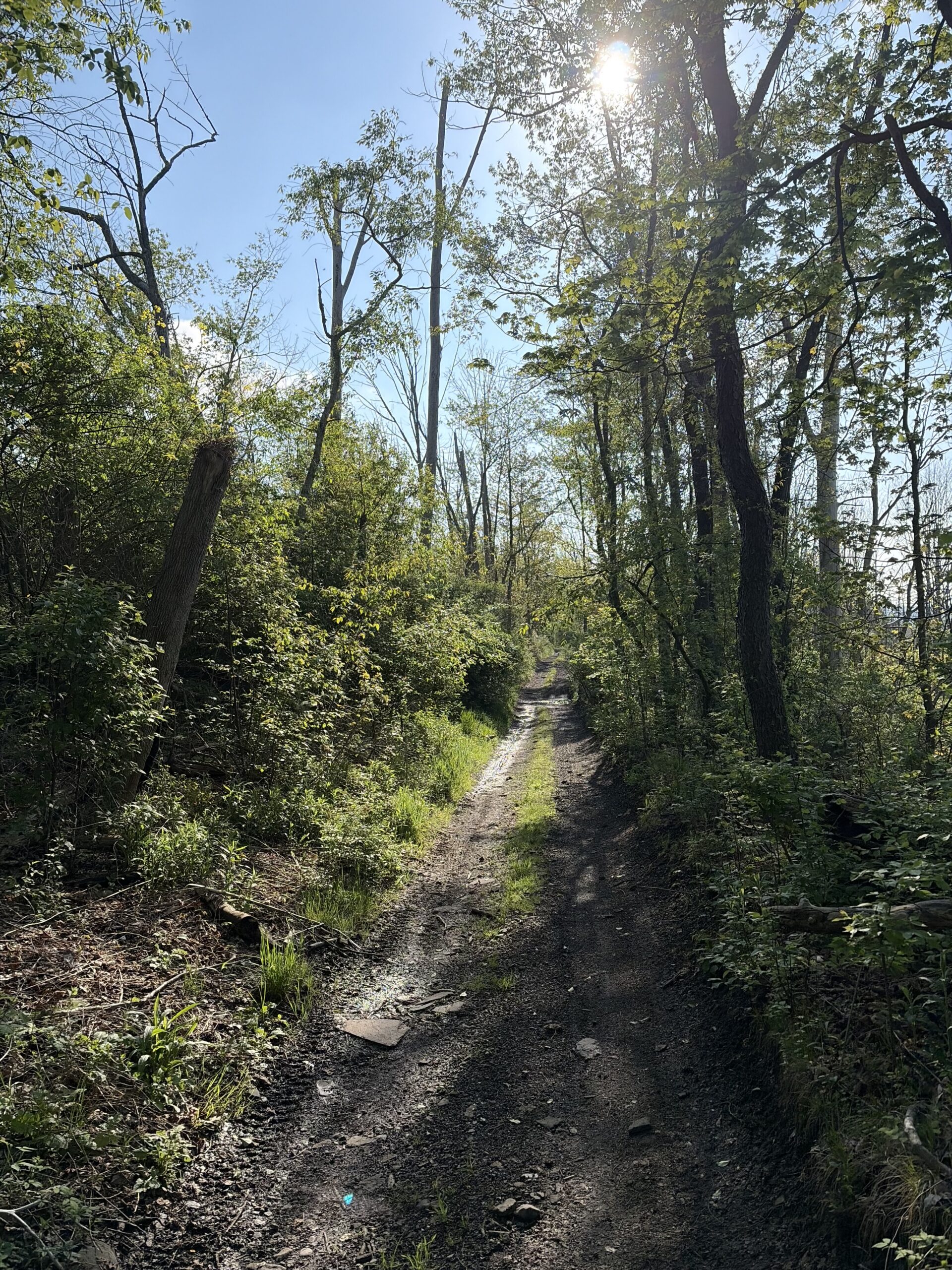 UTMB Rothrock 25k and 50k Course Thoughts